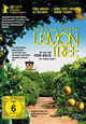 DVD Lemon Tree