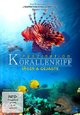 DVD Faszination Korallenriff - Jger & Gejagte