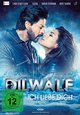 DVD Dilwale - Ich liebe dich