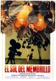 DVD El sol del membrillo - Die Vergnglichkeit des Lichts