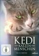 Kedi - Von Katzen und Menschen