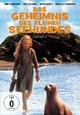 DVD Das Geheimnis des kleinen Seehundes