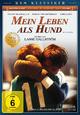 DVD Mein Leben als Hund