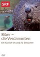 Biber - die Verdammten