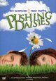 DVD Pushing Daisies - Season One (Episodes 4-6)