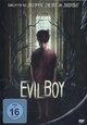 DVD Evil Boy