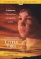 DVD Die Abenteuer des kleinen Indianerjungen Little Tree