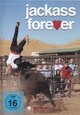 DVD Jackass 4 - Jackass Forever