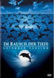 DVD The Big Blue - Im Rausch der Tiefe