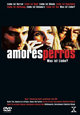 Amores perros