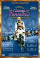 Cinema Paradiso