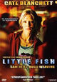 Little Fish Little Fish