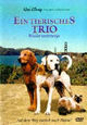 Ein tierisches Trio - Wieder unterwegs