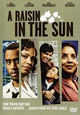 DVD A Raisin in the Sun