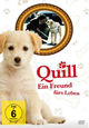 Quill - Ein Freund fürs Leben Quill - Ein Freund fürs Leben