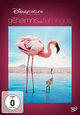 Das Geheimnis der Flamingos Das Geheimnis der Flamingos