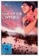 DVD Time of the Gypsies - Zeit der Zigeuner