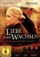 DVD Liebe wird wachsen - Love Comes Softly