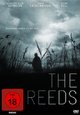 The Reeds