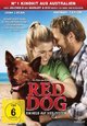 DVD Red Dog - Ein Held auf vier Pfoten DVD Red Dog - Ein Held auf vier Pfoten