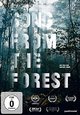 DVD Song from the Forest