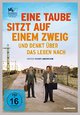Eine Taube sitzt auf einem Zweig und denkt über das Leben nach Eine Taube sitzt auf einem Zweig und denkt über das Leben nach