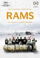 DVD Rams