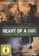 DVD Heart of a Dog