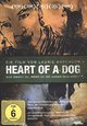 Heart of a Dog