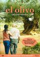 El olivo - Der Olivenbaum El olivo - Der Olivenbaum