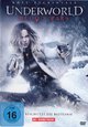 DVD Underworld 5 - Blood Wars