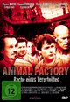 DVD Animal Factory - Rache eines Verurteilten