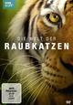 DVD Die Welt der Raubkatzen