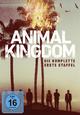 DVD Animal Kingdom - Season One (Episodes 4-6)