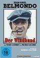 DVD Der Windhund