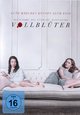 Vollblüter Vollblüter