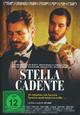 DVD Stella cadente