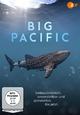 DVD Big Pacific