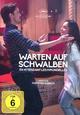 DVD Warten auf Schwalben DVD Warten auf Schwalben