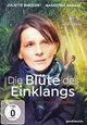Die Blüte des Einklangs Die Blüte des Einklangs