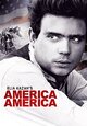 DVD America America