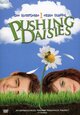 DVD Pushing Daisies - Season One (Episodes 4-6) DVD Pushing Daisies - Season One (Episodes 4-6)