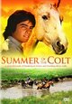 DVD Der Sommer der Pferde (+ Flecki, mein Freund)