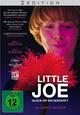 Little Joe Little Joe