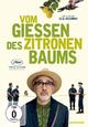 Vom Giessen des Zitronenbaums