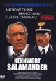 Kennwort Salamander Kennwort Salamander