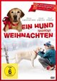 Ein Hund namens Weihnachten