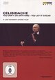 Celibidache - You Don't Do Anything - You Let It Evolve