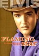 Flaming Star - Flammender Stern Flaming Star - Flammender Stern