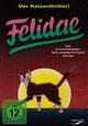 Felidae Felidae